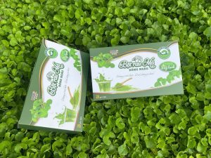 rau má sấy khô của HTX Đồng Ngâu